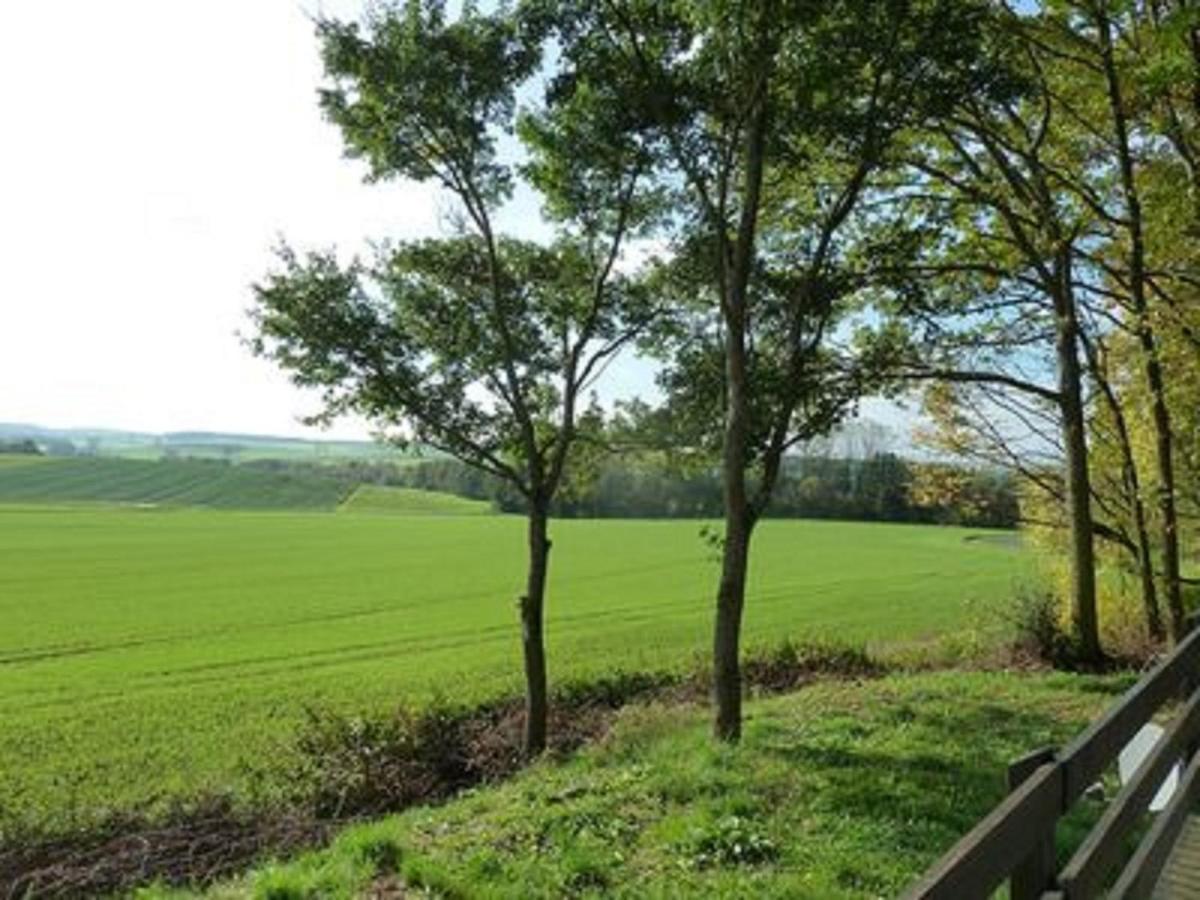 فيلا Feriendorf Sulzfeld Sulzfeld  المظهر الخارجي الصورة
